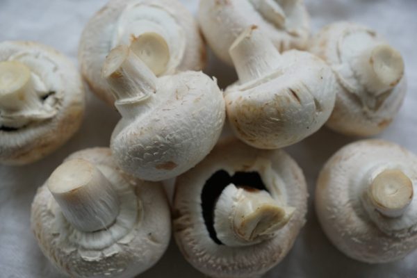 Champignons blancs