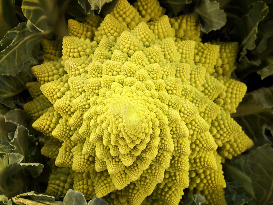 Chou Romanesco 1pce - Bioceno